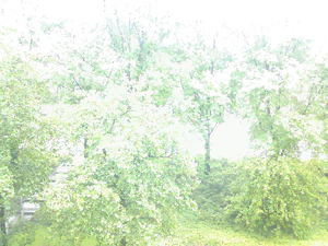 2048x1536 helderheid Plus1