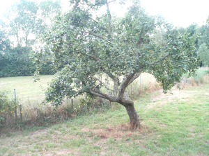 2048x1536 helderheid Plus2