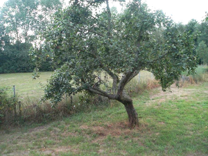 2048x1536 helderheid 0