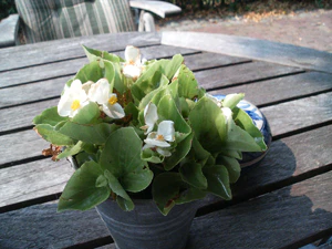 2048x1536 comparison k800in93 nokia n93 04