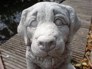 2048x1536 comparison K800in93 Sony Ericsson k800i 03