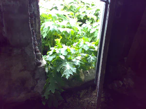 2048x1536 comparison review kg920 n73 n93 k800i Nokia n73 04