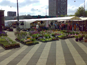 2048x1536 comparison review kg920 n73 n93 k800i Nokia n73 12