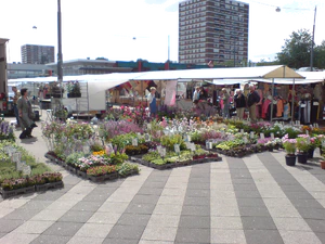 2048x1536 comparison review kg920 n73 n93 K800i Sony Ericsson k800i 12