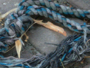 2048x1536 digital zoom 10x