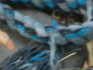 2048x1536 digital zoom 20x