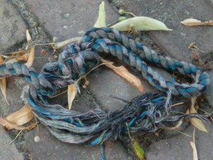 2048x1536 digital zoom 5x