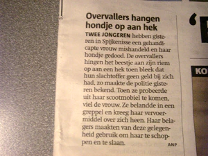 2048x1536 diverse 09