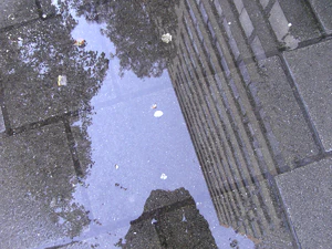 2048x1536 diverse 31