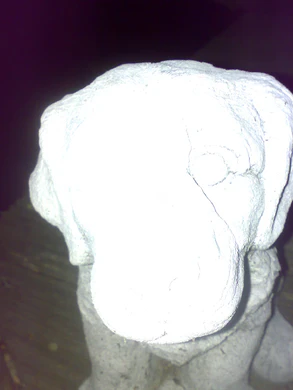 2048x1536 flash macro 06