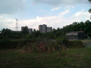 2048x1536 gedraaid 01