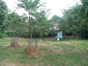 2048x1536 gedraaid 03