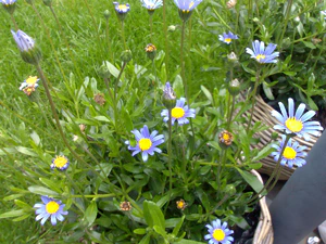 2048x1536 macro buitenkant daylight 02