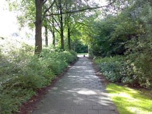 2048x1536 aléatoire 06