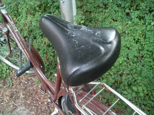 2048x1536 willekeurig 06