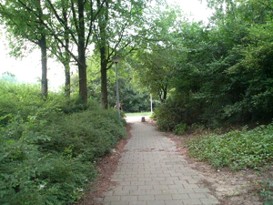 2048x1536 willekeurig 07