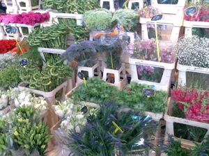 2048x1536 willekeurig 12