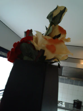 2048x1536 satunnainen 12