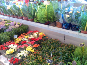 2048x1536 willekeurig 13