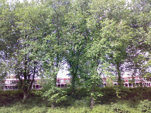 2048x1536 willekeurig 15