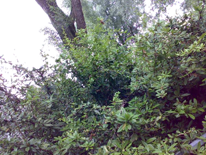 2048x1536 aléatoire 17