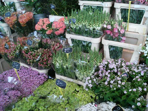 2048x1536 willekeurig 18