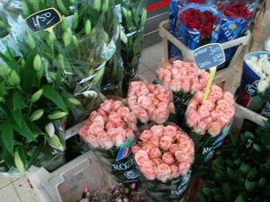 2048x1536 willekeurig 19