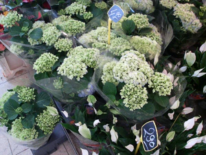 2048x1536 willekeurig 20