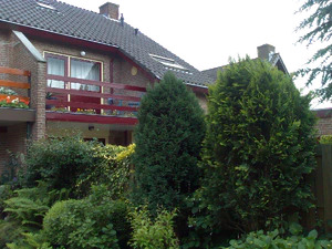 2048x1536 willekeurig 20