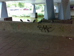 2048x1536 aléatoire 26