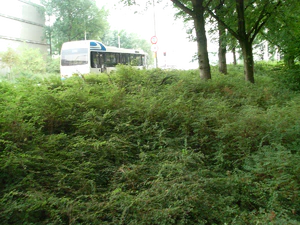 2048x1536 willekeurig 27