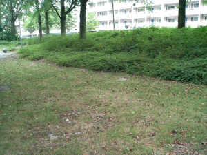 2048x1536 willekeurig 29