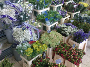 2048x1536 tilfældig 33