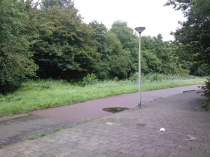 2048x1536 tilfældig 36