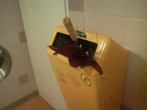 2048x1536 willekeurig 39