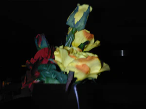 2048x1536 nightmode flash 01