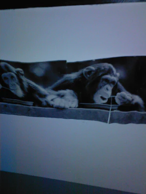 2048x1536 nightmode flash 02