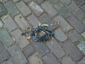 2048x1536 optical zoom 1.5x