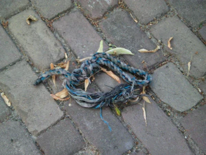 2048x1536 optical zoom 3x