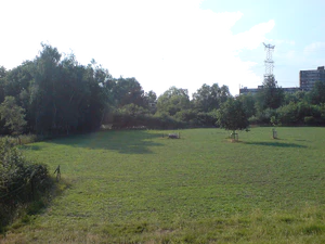 2048x1536 blanco balance auto