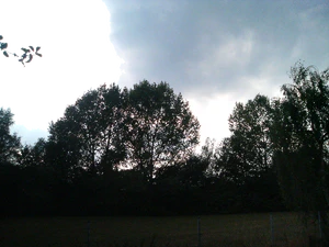 2048x1536 wit balance automatic