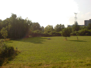 2048x1536 blanco balance cloudy