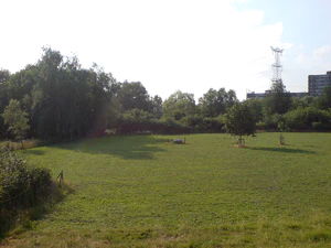 2048x1536 weiß balance daylight