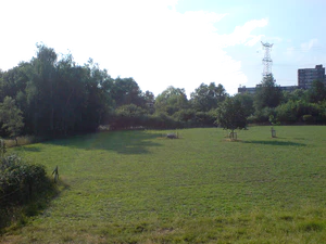 2048x1536 blanco balance fluorescent