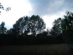 2048x1536 wit balance fluorescent