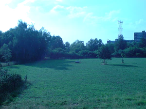 2048x1536 blanco balance incandescent