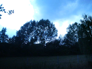 2048x1536 wit balance incandescent