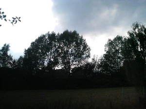 2048x1536 wit balance sunlight