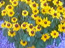 256x192 hoog 2xzoom