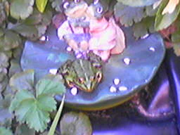 256x192 hoogwaardig 4xzoom